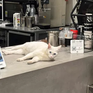 킷사앤사보 리뷰 사진