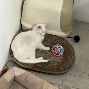 킷사앤사보 리뷰 사진