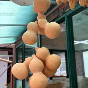 장릉보리밥 대표 사진