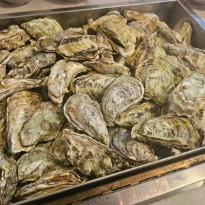 통굴통굴 사진 1