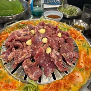 장수갈매기 사진 1
