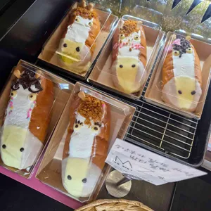 레귤러리 대표 사진