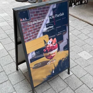 포레스트 리뷰 사진