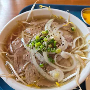 지바 대표 사진