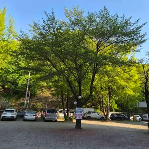 누리쭈꾸미 리뷰 사진