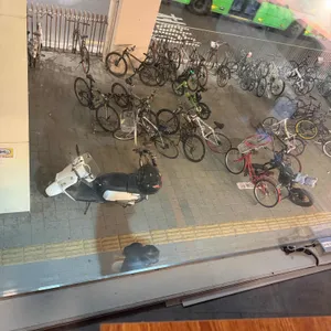 타오 대표 사진