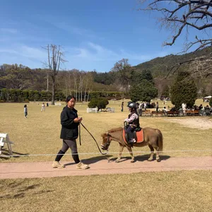 파크프리베 리뷰 사진