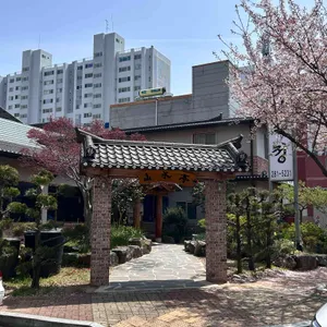 산수정 사진 2