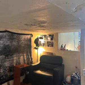 애락 대표 사진