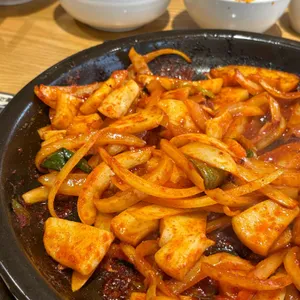 네모오징어 사진