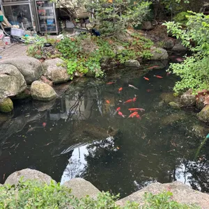 황금정원 대표 사진