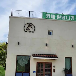 흰당나귀 리뷰 사진