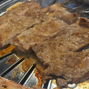 강남갈매기 사진