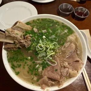 포레스트 사진 1