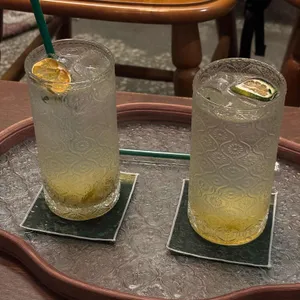 피노 사진 2