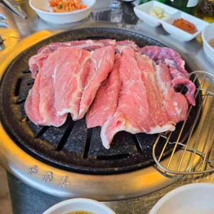 참돼지 사진 1
