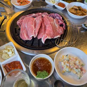 참돼지 사진 2