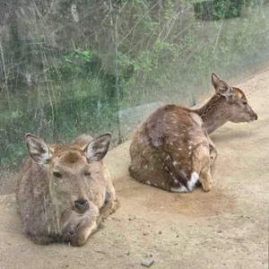 메이드림 대표 사진