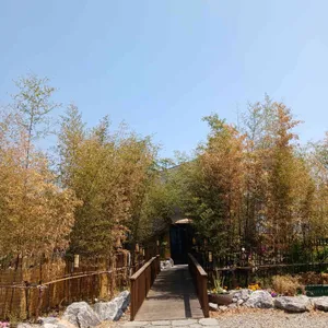 온숲 리뷰 사진