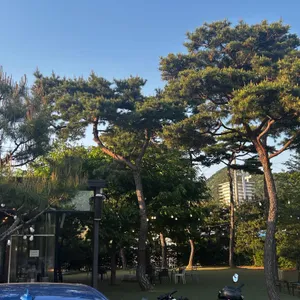 통나무집 닭갈비 대표 사진