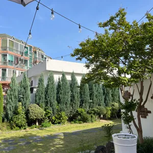 초정커피 사진 2