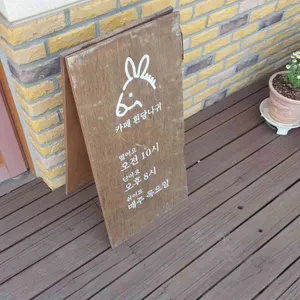 흰당나귀 대표 사진