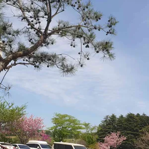 흰당나귀 리뷰 사진