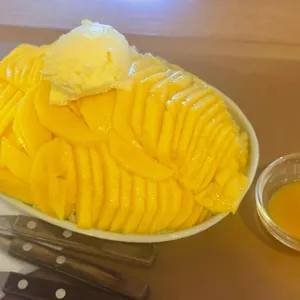 진저베어 사진