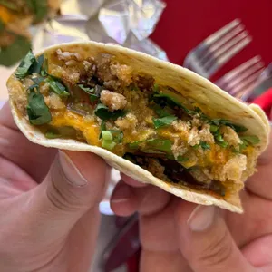 엘에이도그 대표 사진