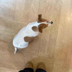 모리츠플라츠 대표 사진