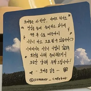 초여름 리뷰 사진