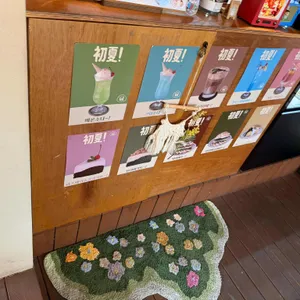 초여름 대표 사진