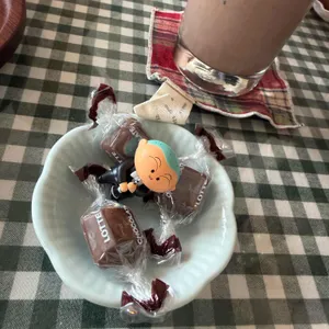 초여름 대표 사진