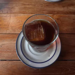 시노라 사진
