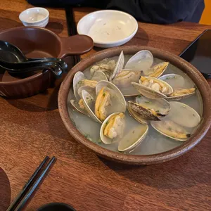타누키 사진