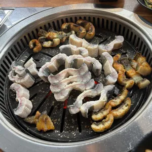분등장어 사진