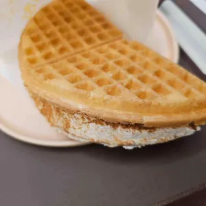 와플대학 사진 2