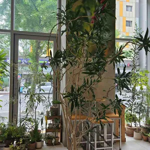 피터커피 대표 사진