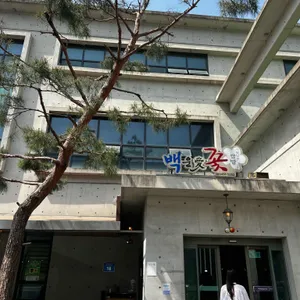 백운애꽃 사진 1