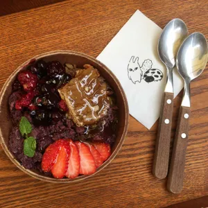 도토리 사진