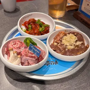 부산갈매기 사진 1
