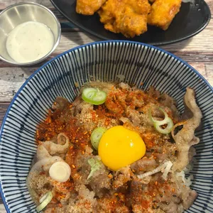 겐코 사진