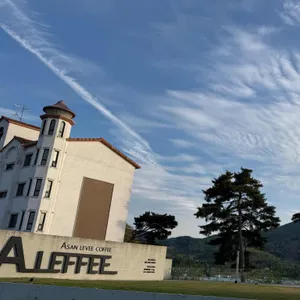 아레피 대표 사진