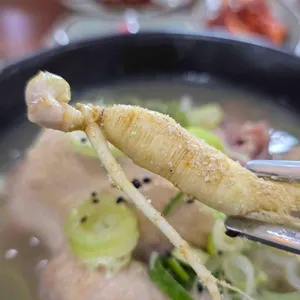 진솔산양산삼삼계탕 사진 2