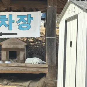 카페 델씨엘로 대표 사진