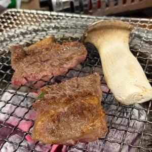 두툼한가 사진 1