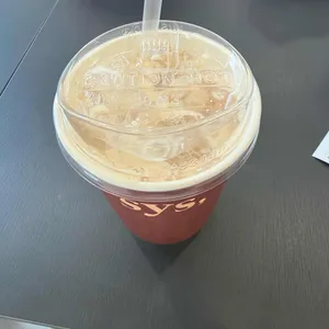 시스 사진