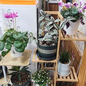 왕청가 리뷰 사진
