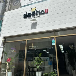 일등돈까스 사진 2