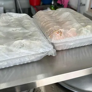 탱탱만두 사진 1